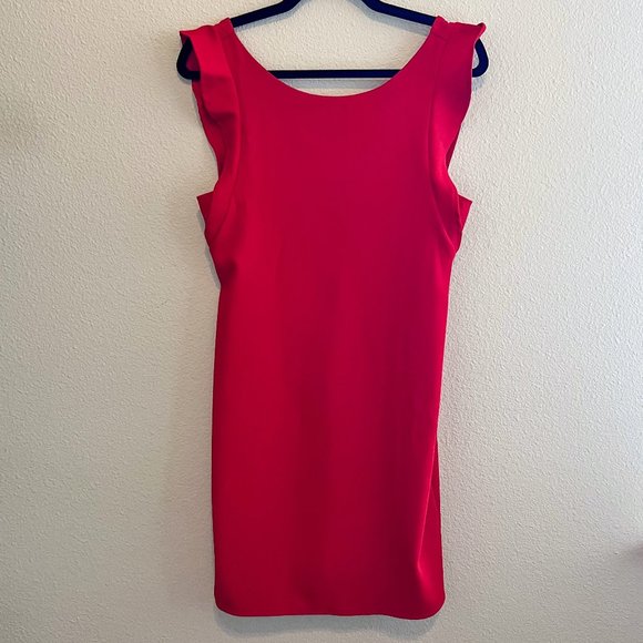 Everly Ruffle Sleeveless Shift Dress - Picture 1 of 4